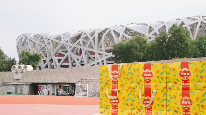 首届“大使杯”国际板球邀请赛圆满落幕 三胖蛋助力国际体育文化交流