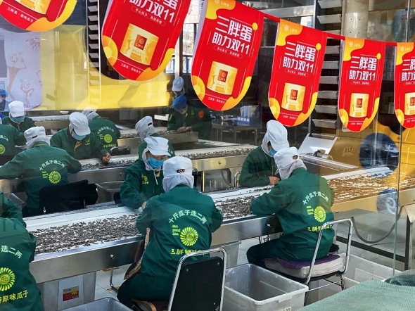 三胖蛋天赋河套双11专场开门大吉！15000人成团，20000份赠品顷刻送空！