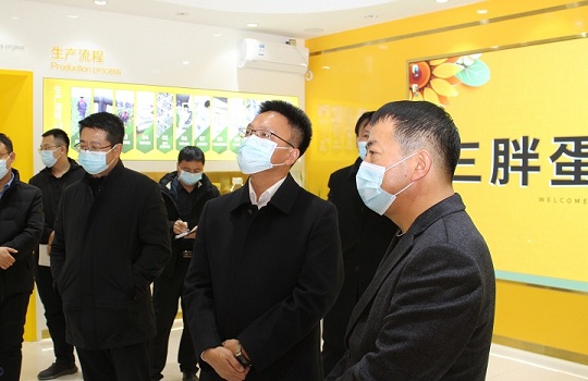 巴彦淖尔市委副书记、政府代市长王志平一行莅临三胖蛋食品公司参观指导