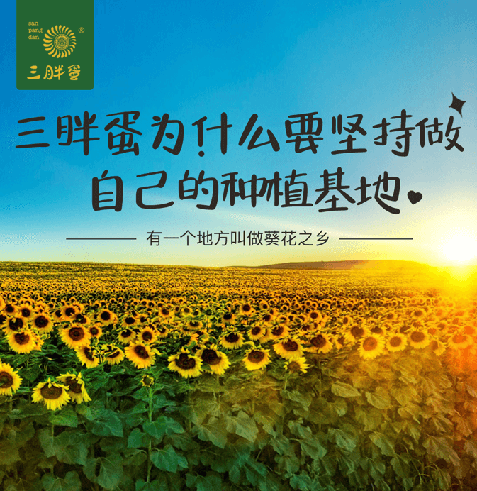 三胖蛋为什么坚持做自己的种植基地