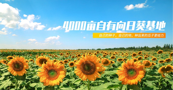 三胖蛋食品有限公司企业愿景、使命、价值观