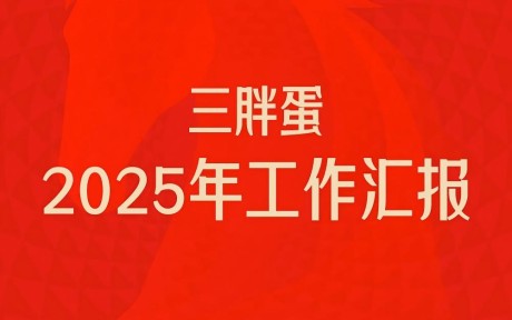 三胖蛋2025工作汇报