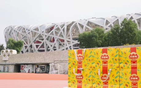 首届“大使杯”国际板球邀请赛圆满落幕 三胖蛋助力国际体育文化交流